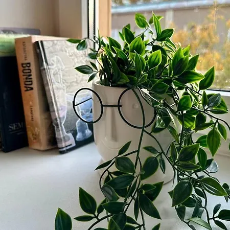 Kozla Old Town Varsovie